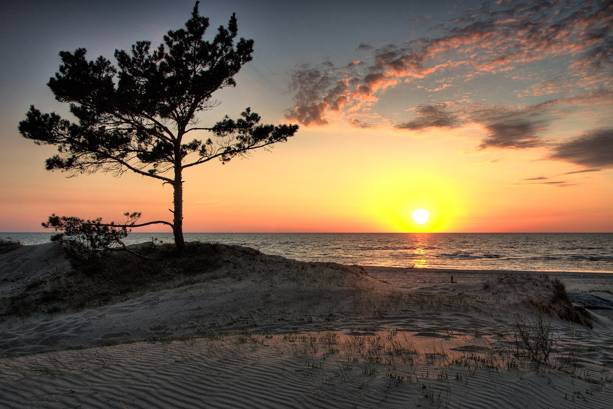 Улетая на закат