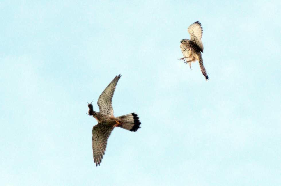 воздушная акробатика