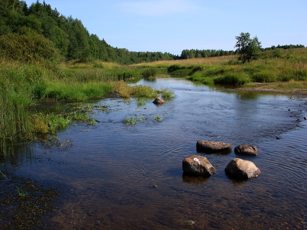 По камешкам