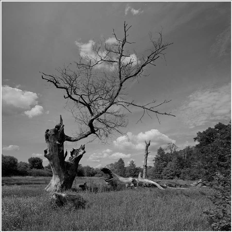 ПОВЕРЖЕННЫЙ...