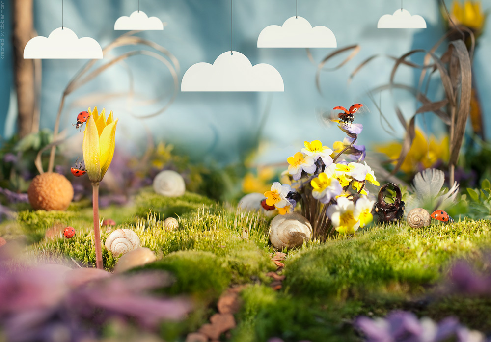 Народец Мая