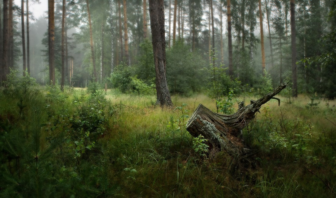 По мотивам...