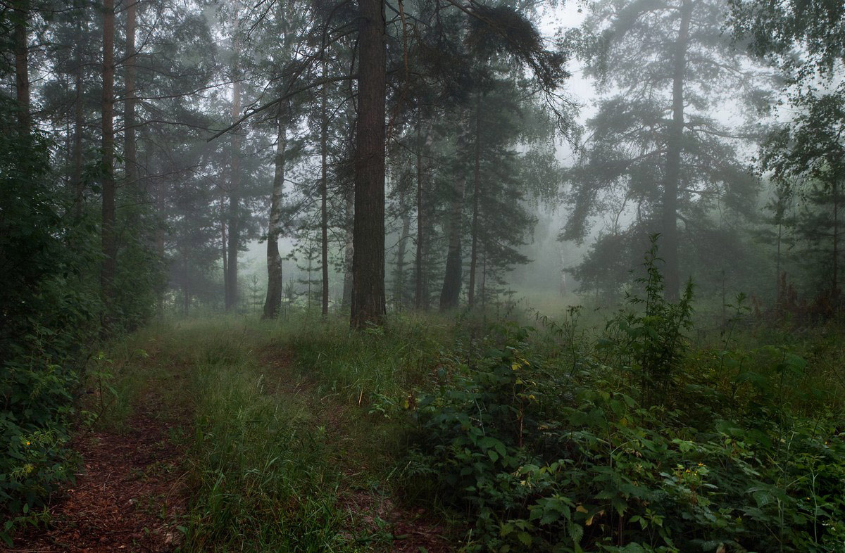 Почти пять утра