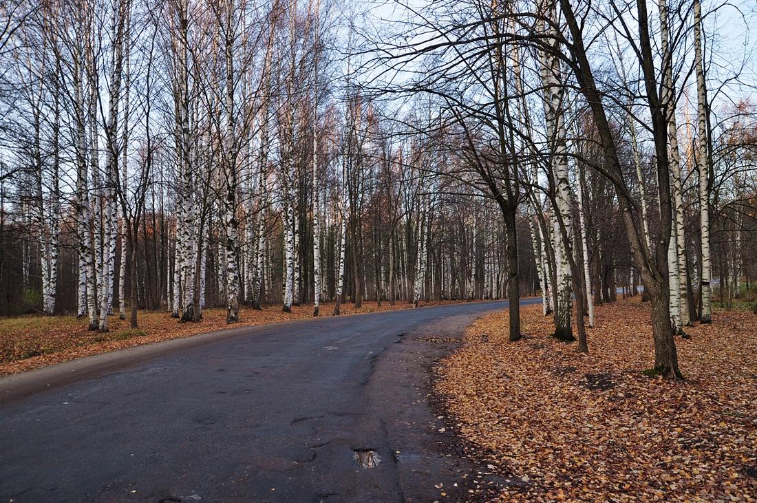 парк Мира II