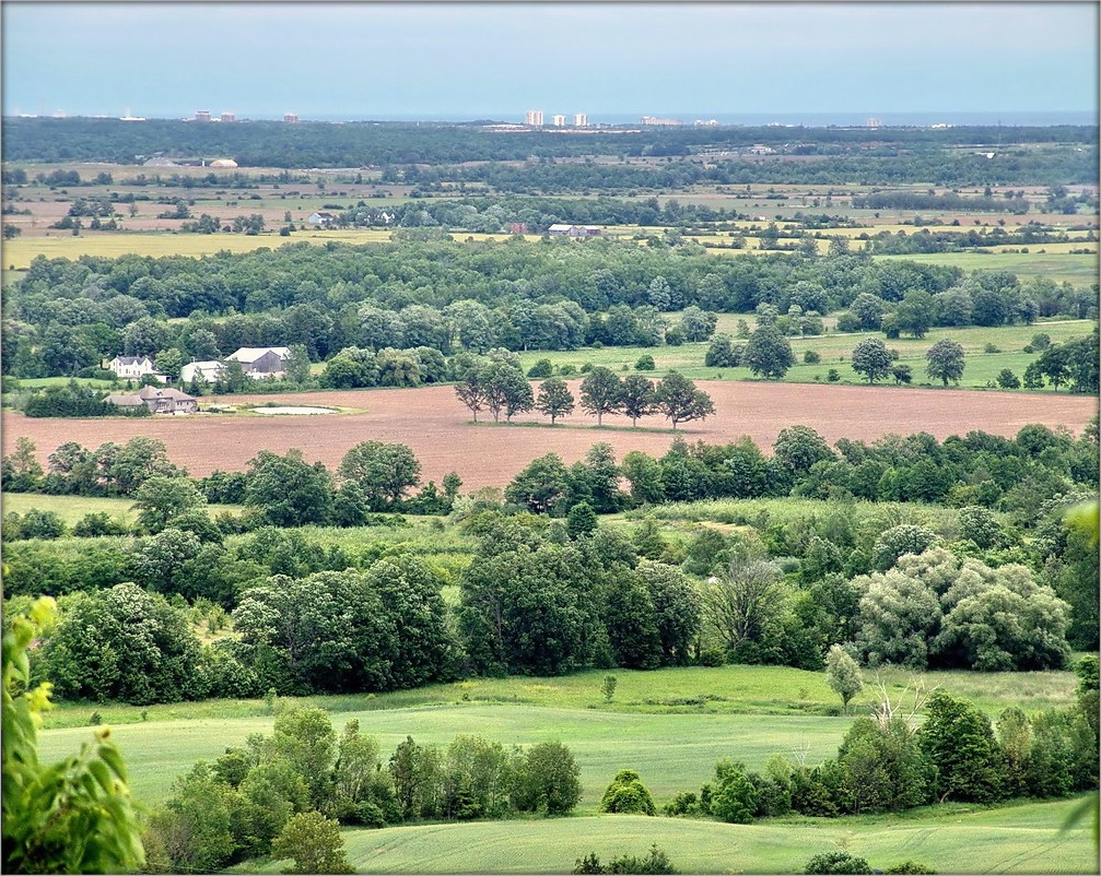 фермерскія далягляды ..4