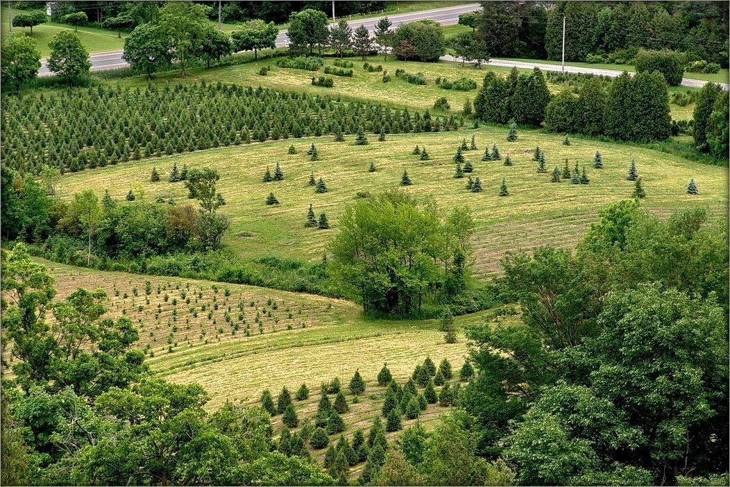 тысяча и одна