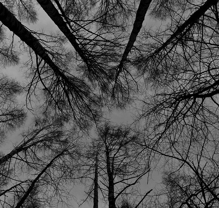 Былое и думы...