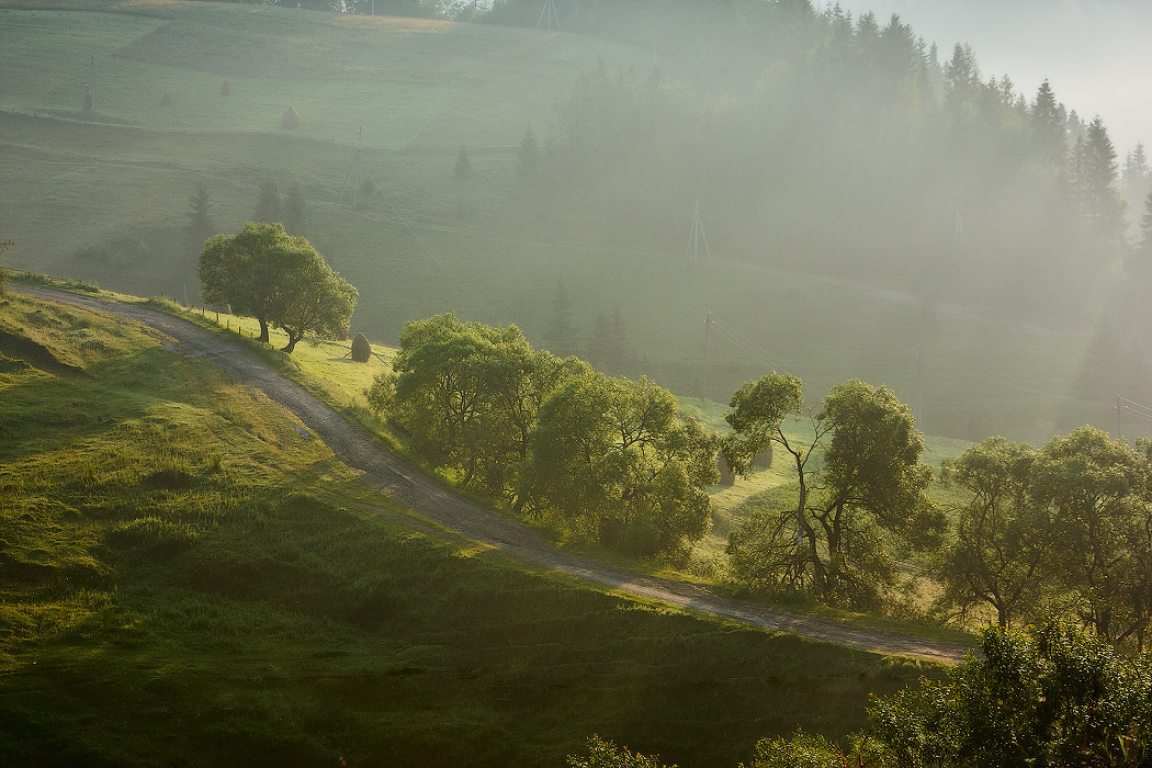 Утром в карпатах