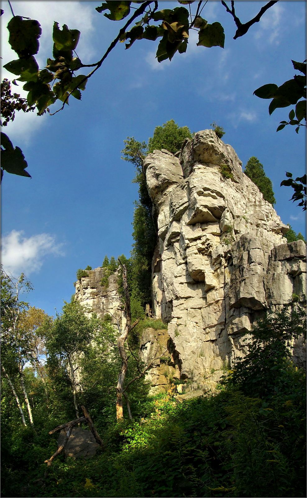 Хозяйство Гремучей Змеи ..2