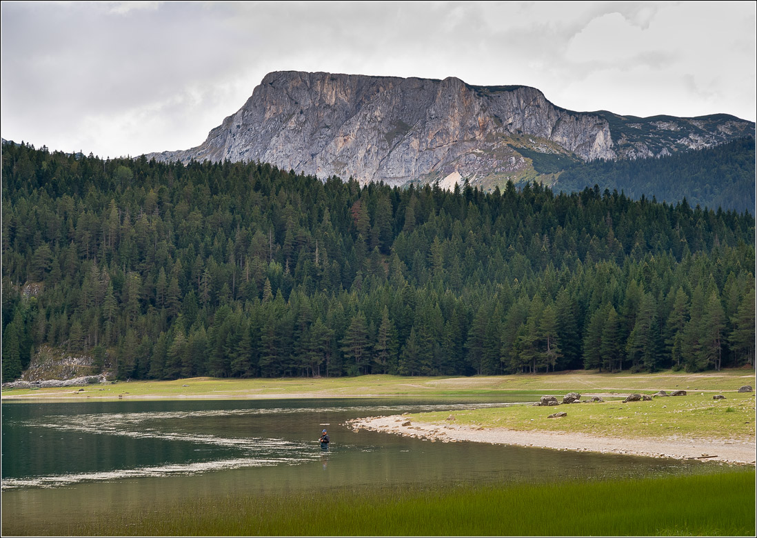 Зигзаги природы