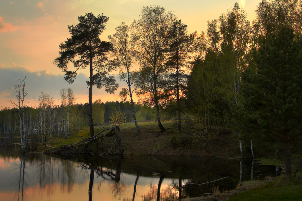 Вечернее Саврасово
