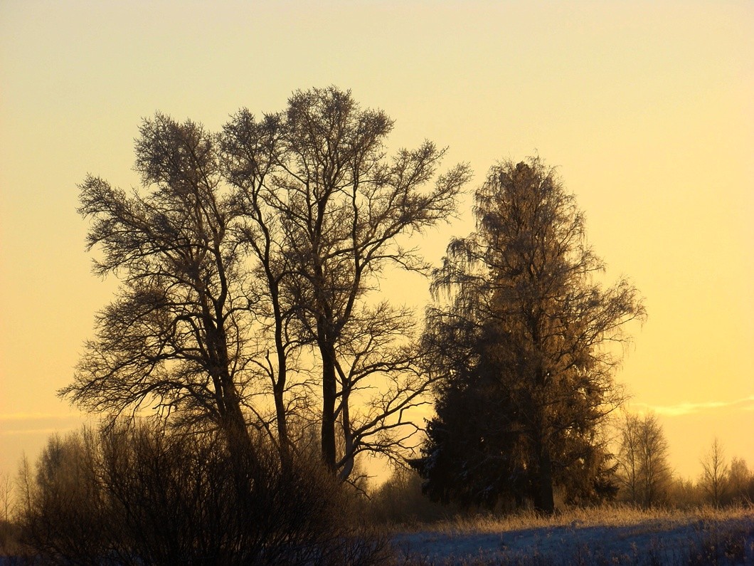 Январский закат
