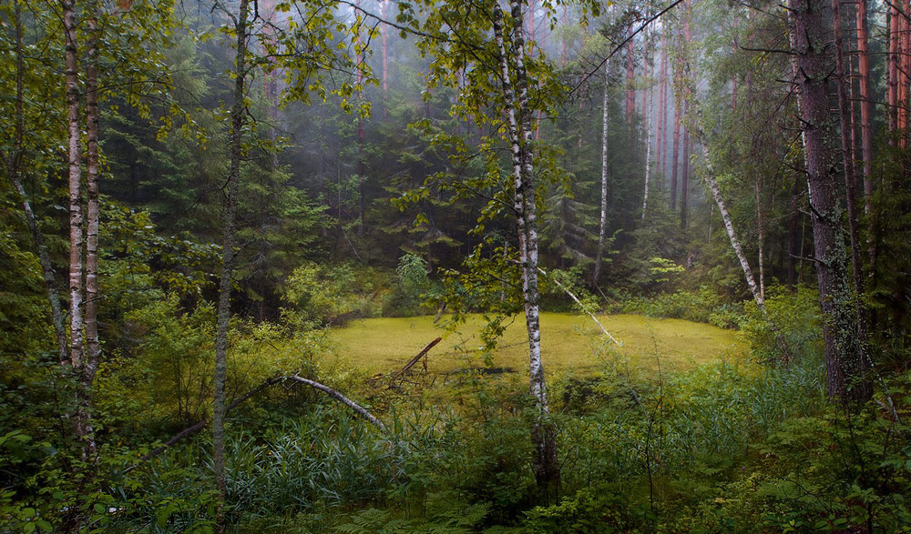 Карстовое озерцо