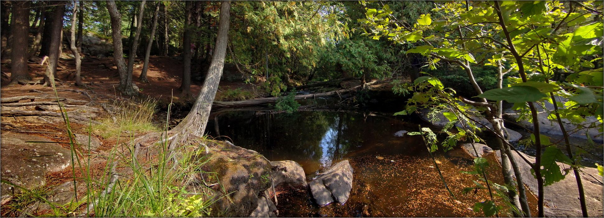 в дремучих лесах Мускоки ..2