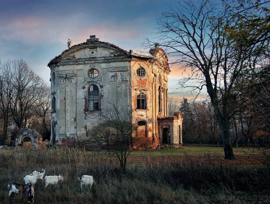 Волчин с козами