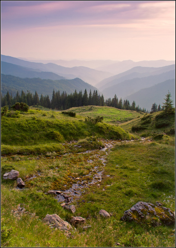 Полонина Лисичья