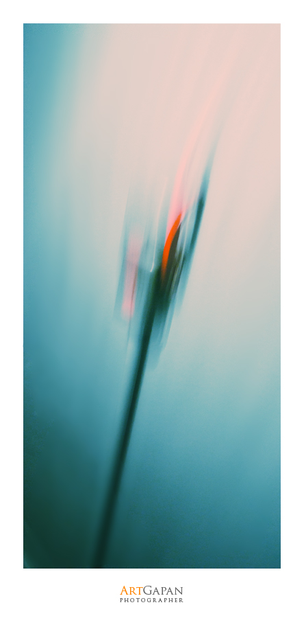 [ Emergency Brake ] *flower