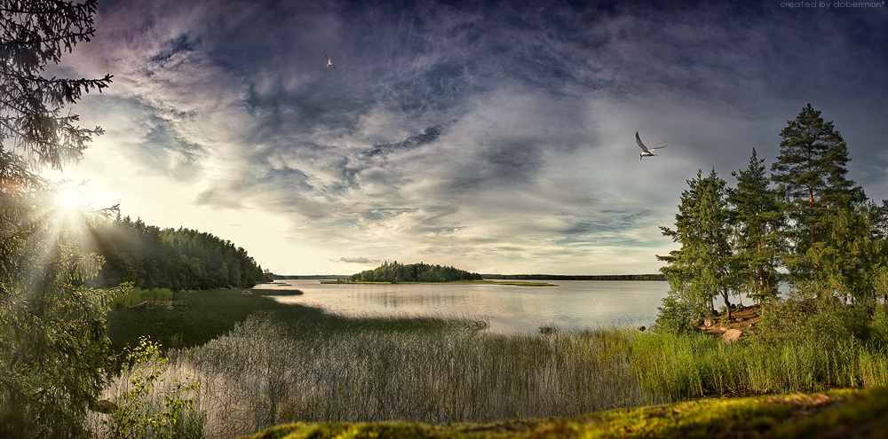 Сказка про Монрепо