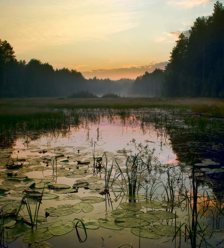 Тихий вечер