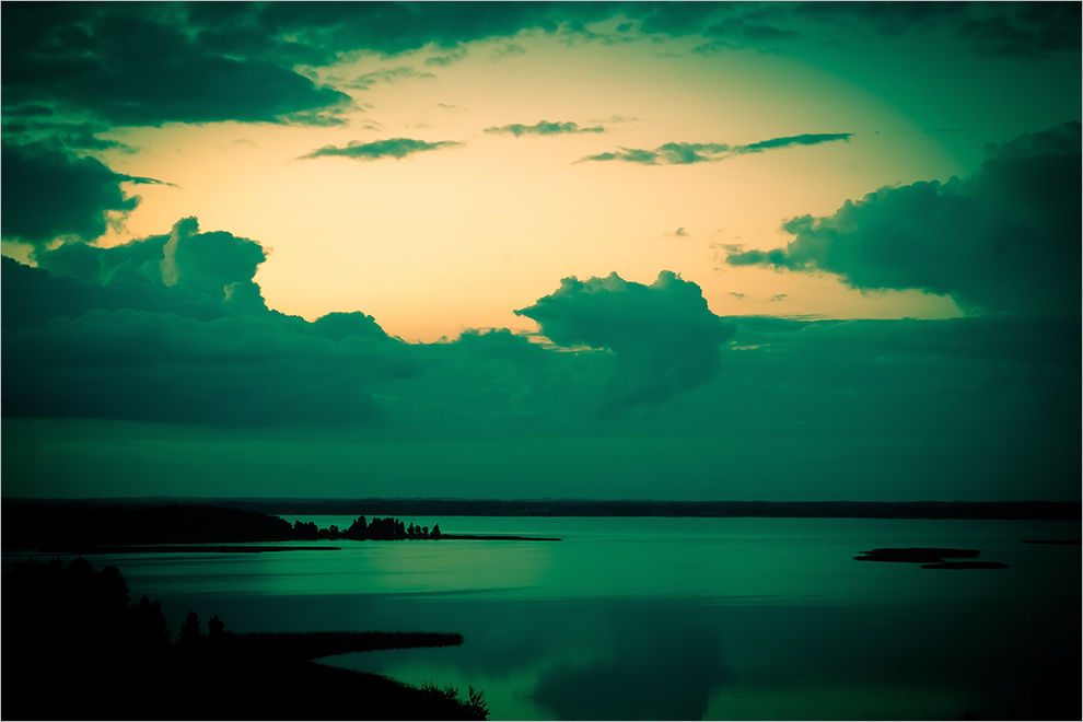 G r e e n   W o r l d.  b i r t h d a y