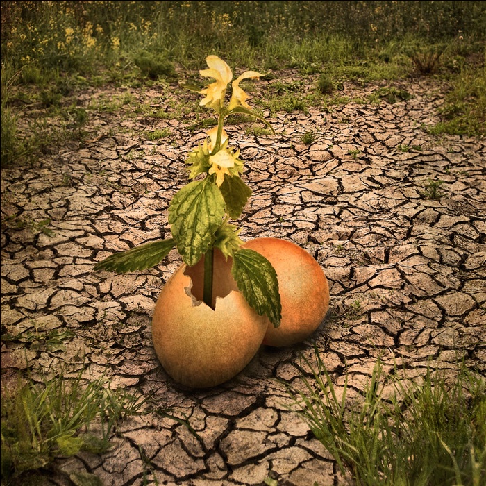 Рождение жизни