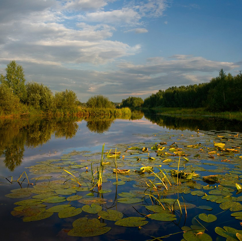 В лучах заката