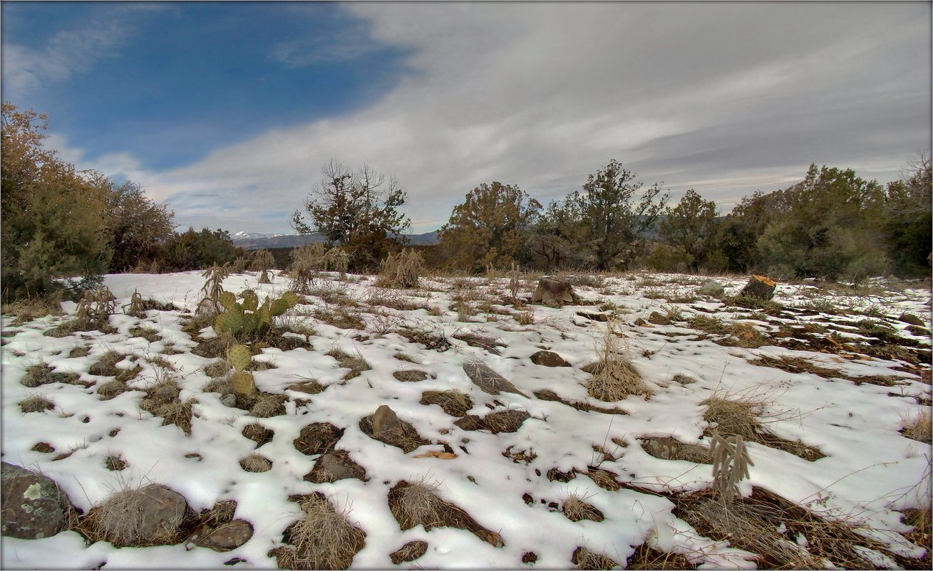 в горах Гила ..3