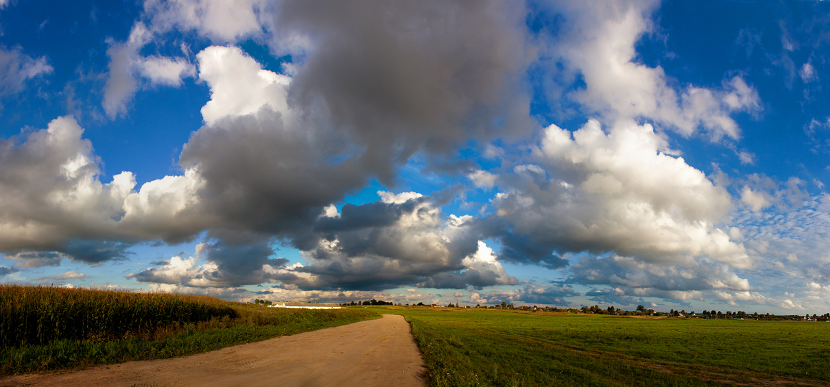 Пейзаж с кукурузным полем