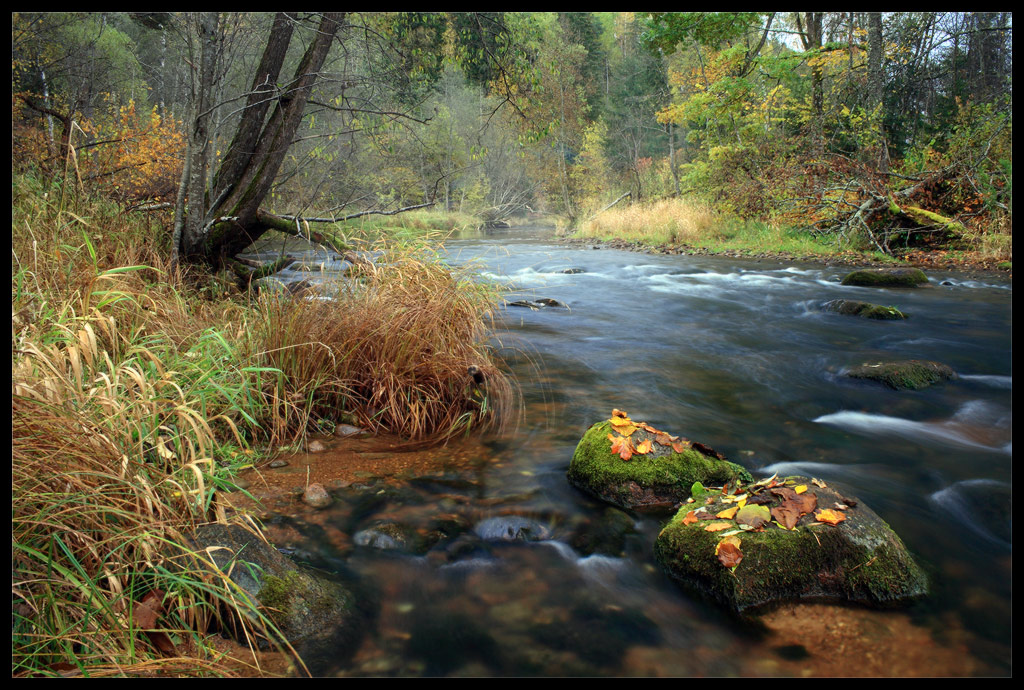 Октябрьское утро у реки