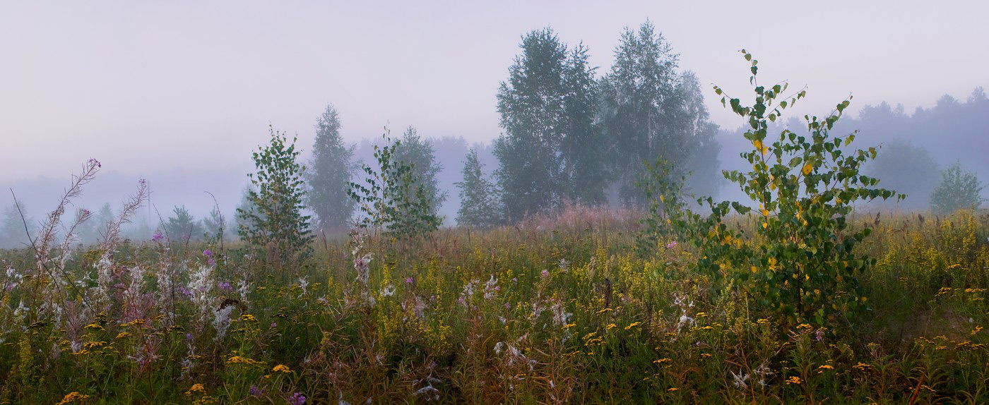 Предосеннее поле