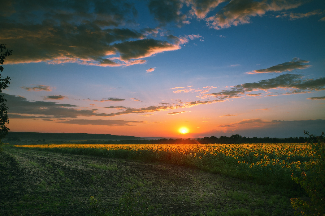 Украинская тема
