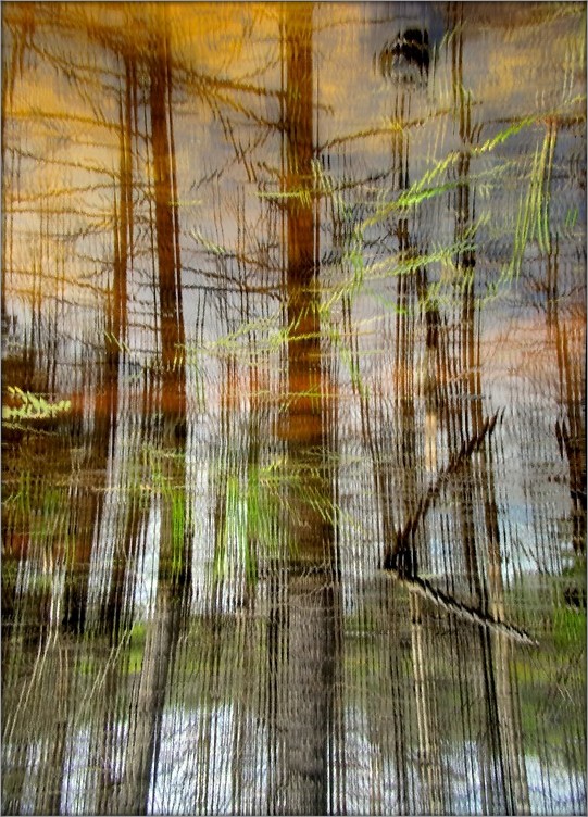 болотные газы