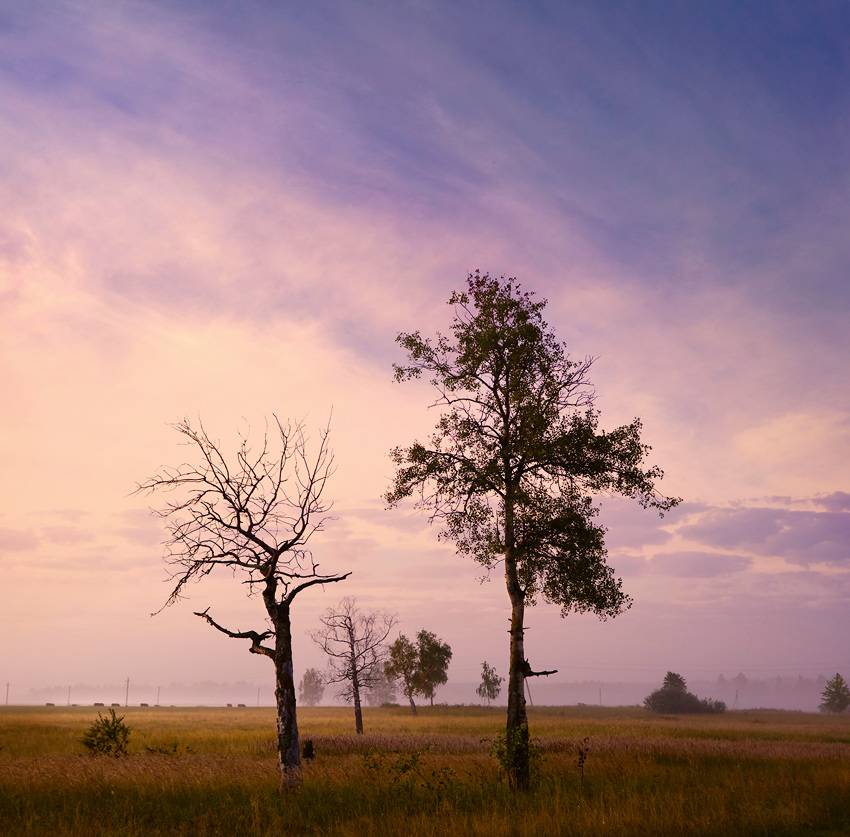 Встречая рассвет