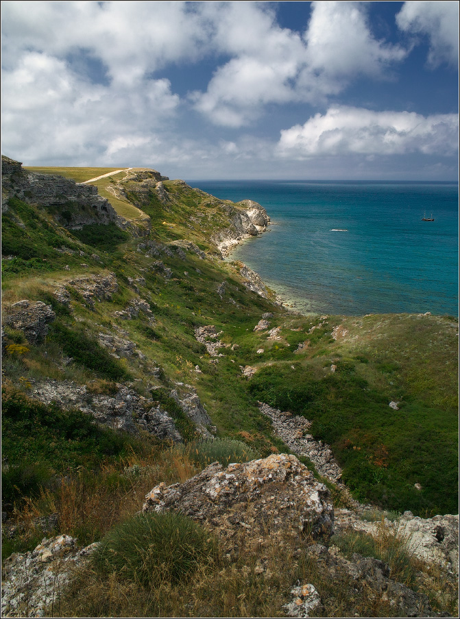 / Об одиноком корабле. v.I /