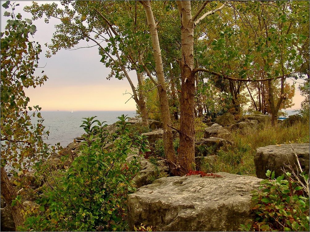 в преддверии осени