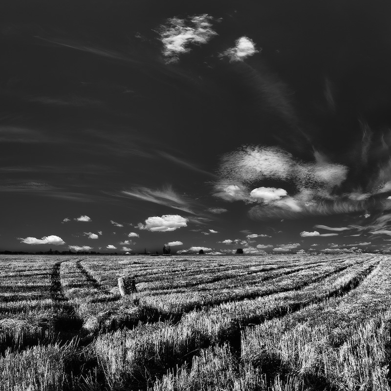 Графика Лета