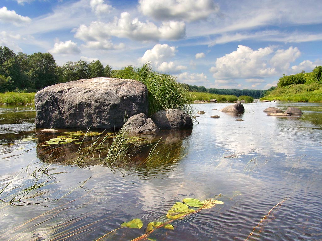 Двина. Конец июля.