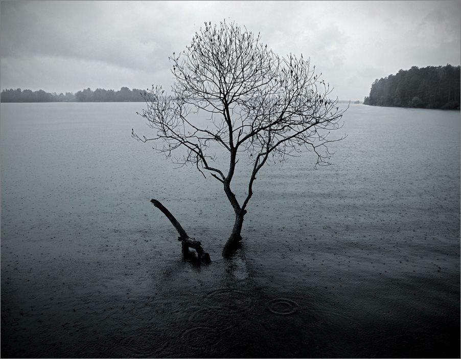 осеннее предчувствие