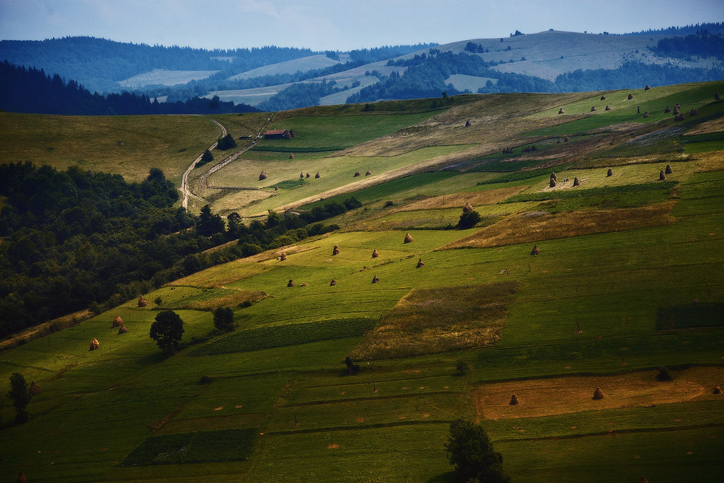 Воловецкие холмы
