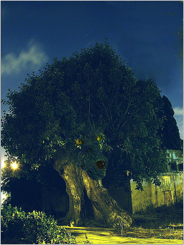 НОЧЬЮ в ЯФФО