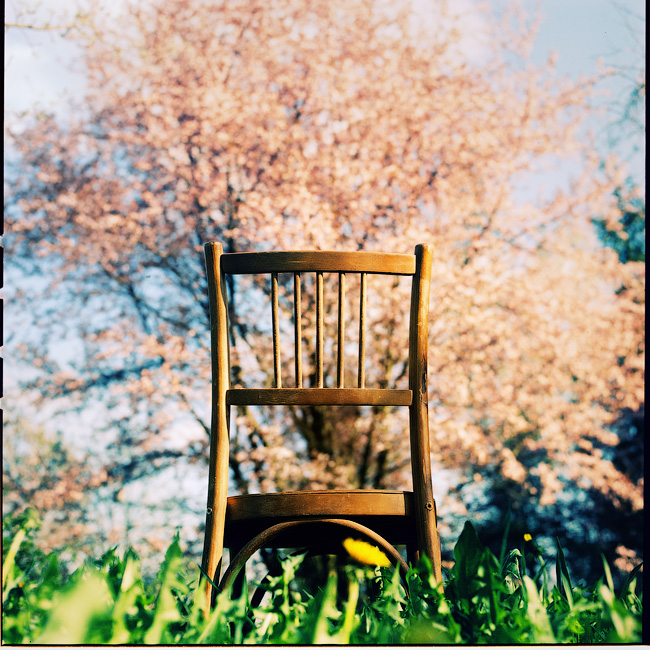 Стул и Жужжащее Дерево!