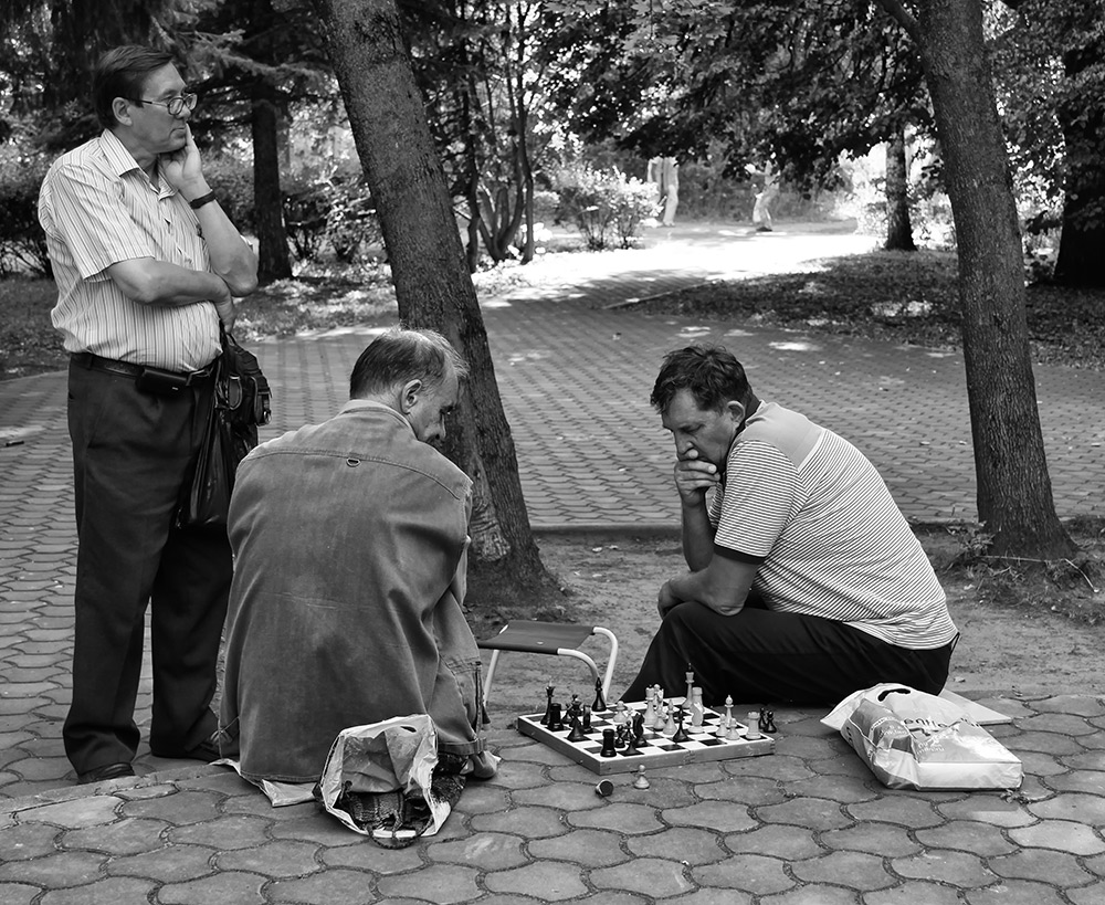 Шахматисты