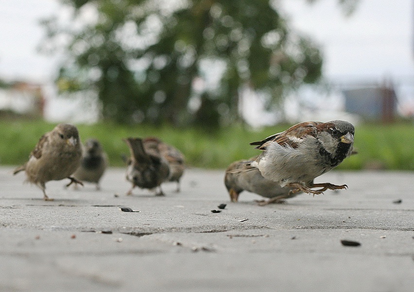 иду на посадку....
