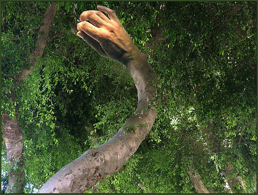 ПРИТРОНУТЬСЯ К ЛИСТВЕ...