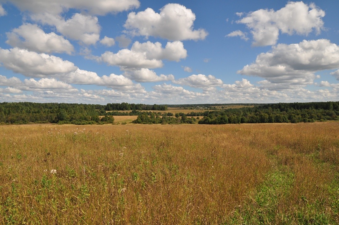 Июльский АВГУСТ сентября