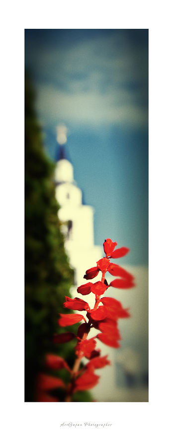 [ Доброго дня ВАМ ]