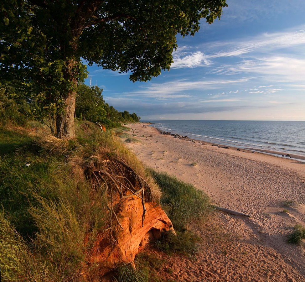 Зрение в корень