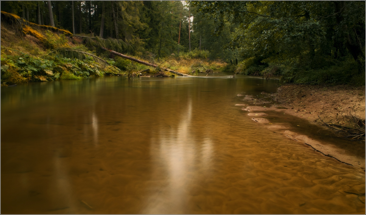 / Состояние тишины /