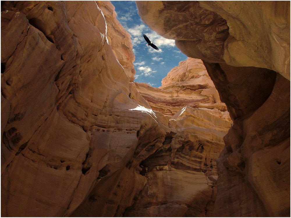 НЕТ ВЫХОДА...