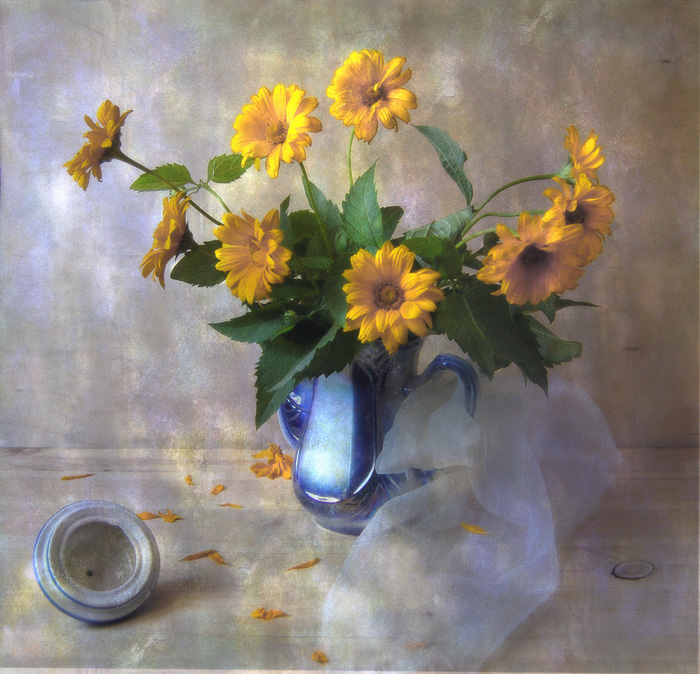 С желтыми ромашками